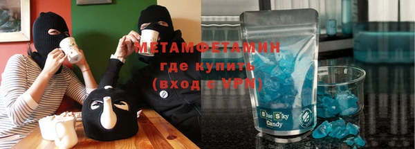 трава Коряжма