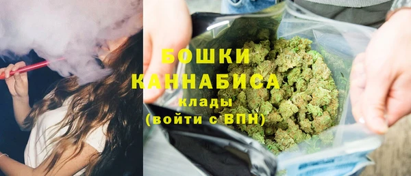прущие грибы Кодинск