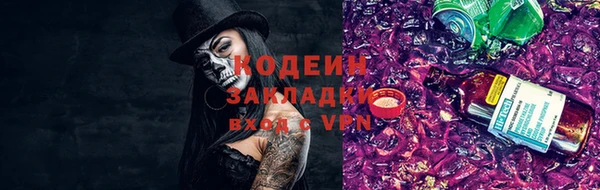 трава Коряжма