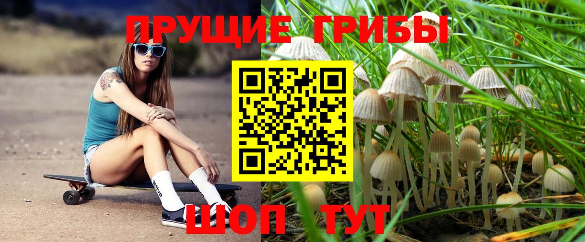 Галлюциногенные грибы Cubensis  Галлюциногенные грибы Magic Shrooms  Вход с VPN  Корсаков 