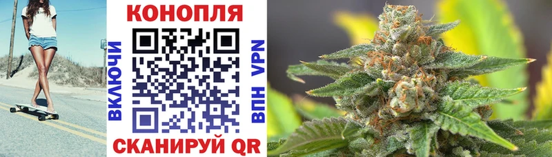 Шишки марихуана гибрид  Корсаков 